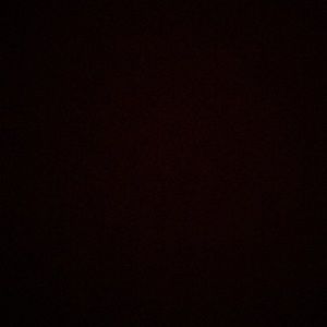 Meet your Posher, Breana